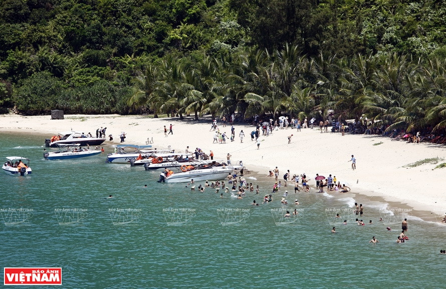  夏天，占婆岛每天接待前来参观游览、游泳和观赏珊瑚的游客3500多人。图自越南画报/越通社