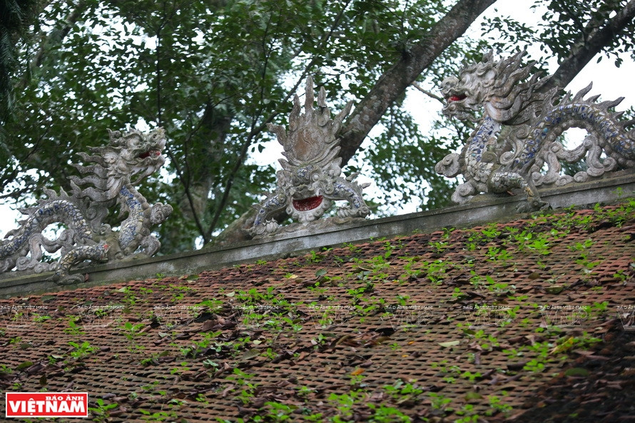 植物在古伞园山圣庙顶上生长。《越南画报》记者 越强 摄