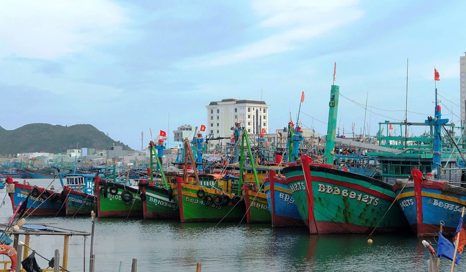 船只在平定省归仁港停泊、躲避第九号台风。越通社记者元灵 摄