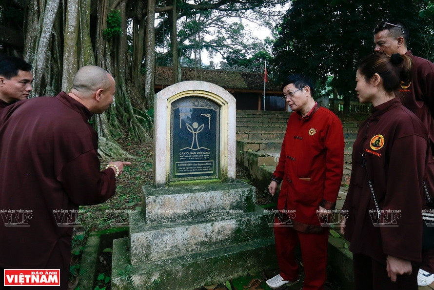 游客参观橘村的“绿色宝物”。《越南画报》记者 越强 摄