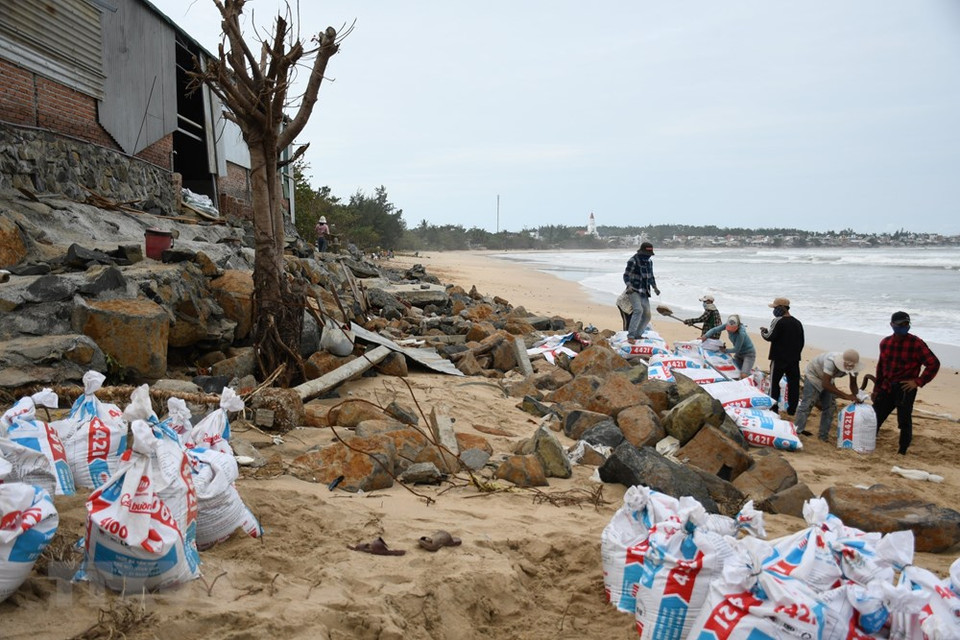 广义省平山县平海乡人民加固房屋，预防第9号台风来袭。图自越通社