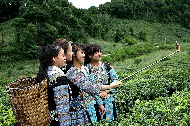 《一起拍》（图片来源：hoabinh.gov.vn）