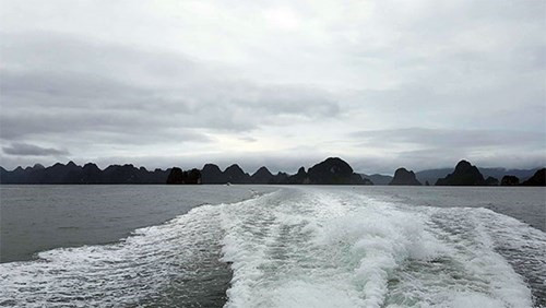 （图片来源：《人民军队报网》）