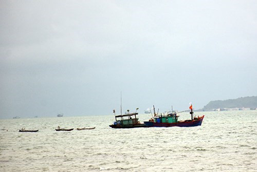 （图片来源：《人民军队报网》）