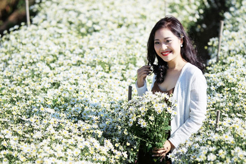 雏菊花的纯洁之美吸引不少爱赏花之人（图片来源于《新报》）