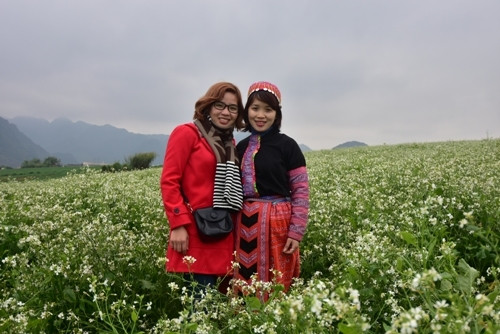 游客在洁白的芥菜花田里拍照留念。（图片来源：人民军队报）
