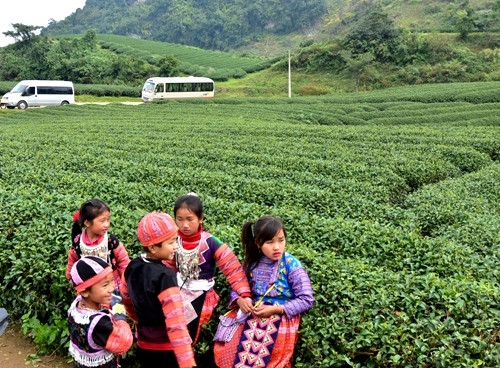 迷住人心的木州风土人情。（图片来源：人民军队报）