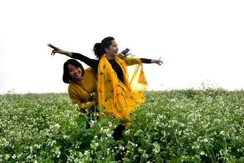 游客在洁白的芥菜花田里拍照留念。（图片来源：人民军队报）