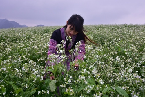 游客在洁白的芥菜花田里拍照留念。（图片来源：人民军队报）