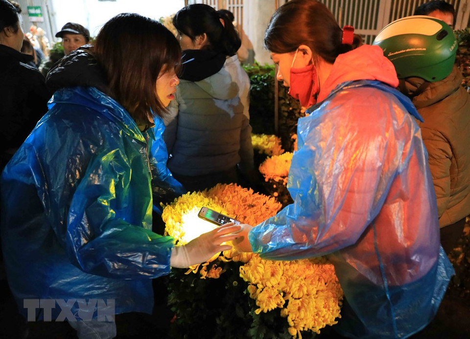 想要买到漂亮的花，消费者要具备一些选购经验。越通社记者 日英 摄