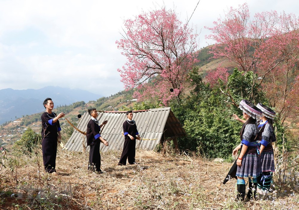 罗盘锦乡蒙族男女青年在野樱花树下掷绣球。越通社记者 俊英 摄