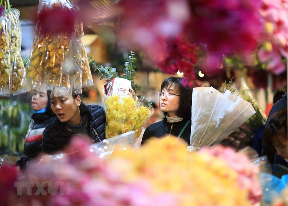 年轻人赶花卉夜市的体验。越通社记者 日英 摄