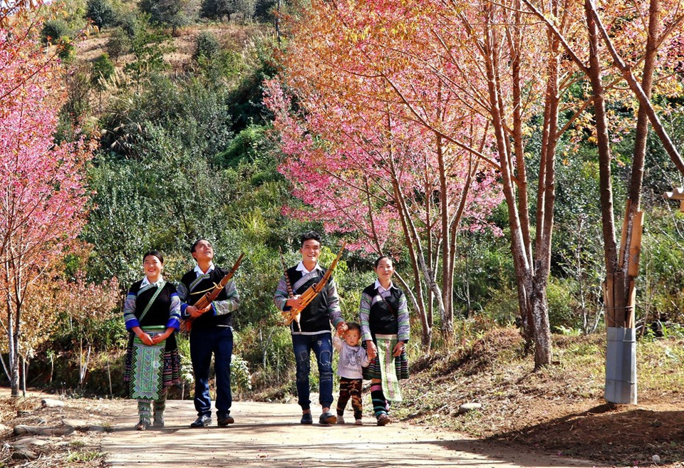 春节期间，蒙族男女青年执手共漫花枝下。越通社记者 俊英 摄