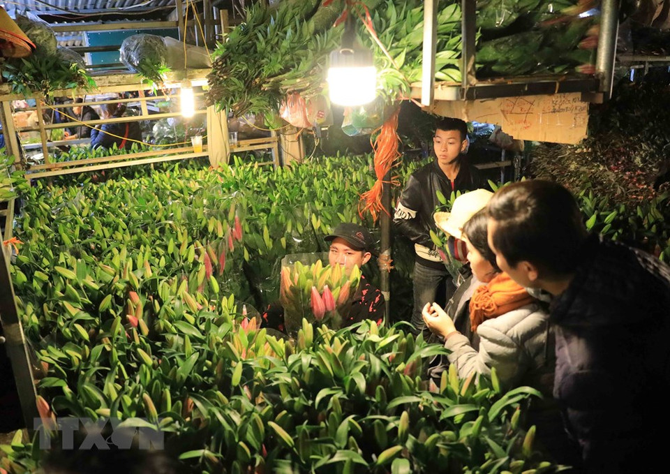 百合花颇受消费者的青睐。越通社记者 日英 摄