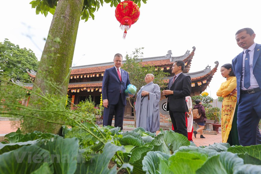 当金莲寺方丈释谭城向丹尼尔•克里滕布林克赠送大使赠送在寺院子里种植的卷心菜时，他感到十分高兴。图自Vietnam+
