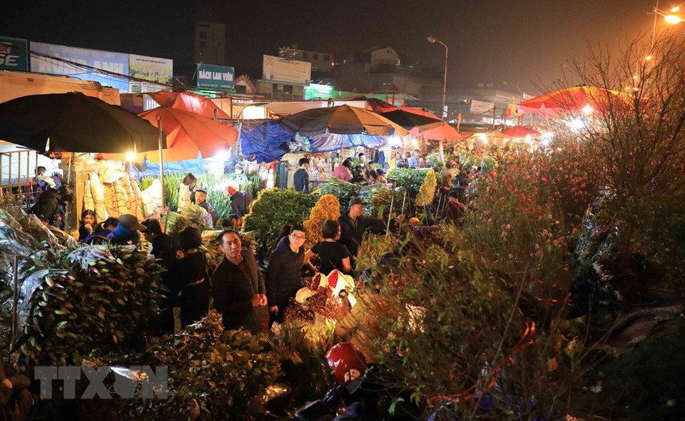 广霸花市从晚上11点到第二天上午6点出售各种花卉。越通社记者 日英 摄