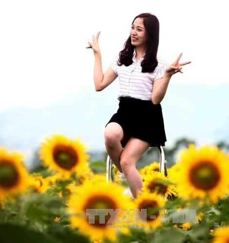 游客在“花海”中摆出各种姿势拍照。（图片来源：越通社）