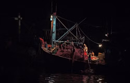 渔民靠岸休息，为下一次捕捞做好准备。（图片来源：《人民军队报网》）