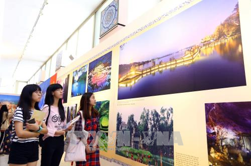 此展也吸引了热爱中国文化和自然美景的越南学生的关注。（图片来源：越通社）
