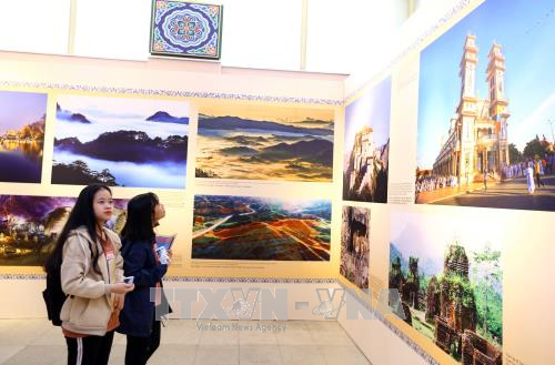 此展也吸引了热爱中国文化和自然美景的越南学生的关注。（图片来源：越通社）