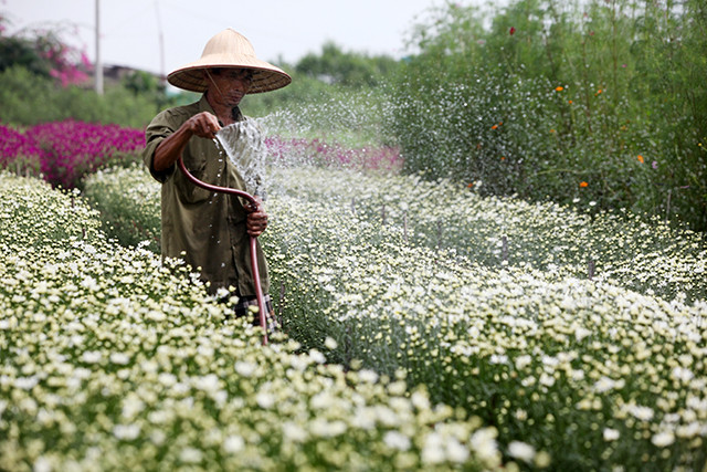 （图片来源：人民报）