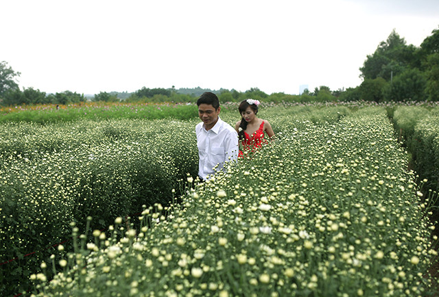 （图片来源：人民报）