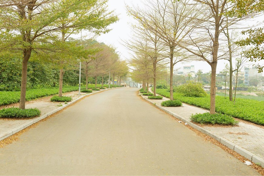 河内秋天的金色阳光让人心动。早晨的阳光如梦似幻，为首都的古老增添新鲜的色彩。秋天使人们的心灵更宁静深刻。也许这正是这片优雅的长安之地吸引人的魅力所在。不仅河内人，四方游客也爱上了河内秋天的阳光。此时，首都小叶榄仁树也渐渐地变黄，落叶满地，给首都河内披上了新衣。图自Vietnam+