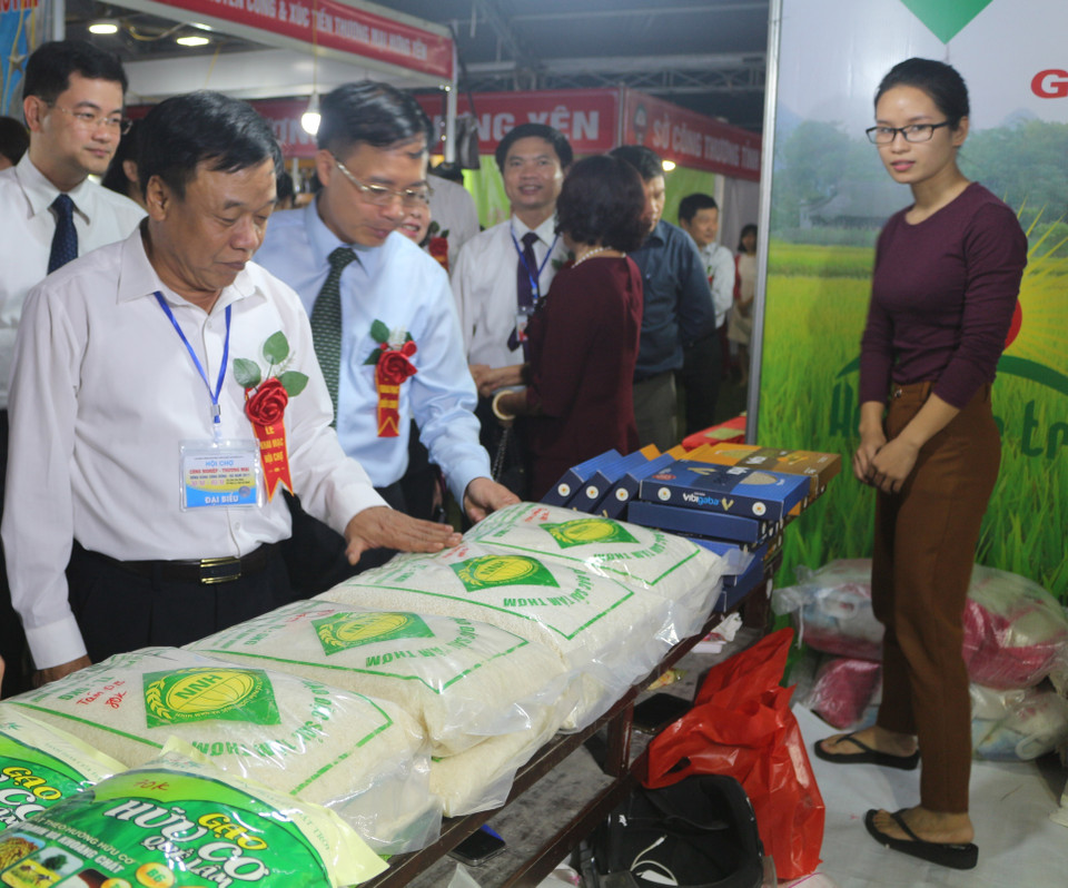 参观2017年红河平原-河南工业贸易展览会展会的代表。（图片来源：越通社）