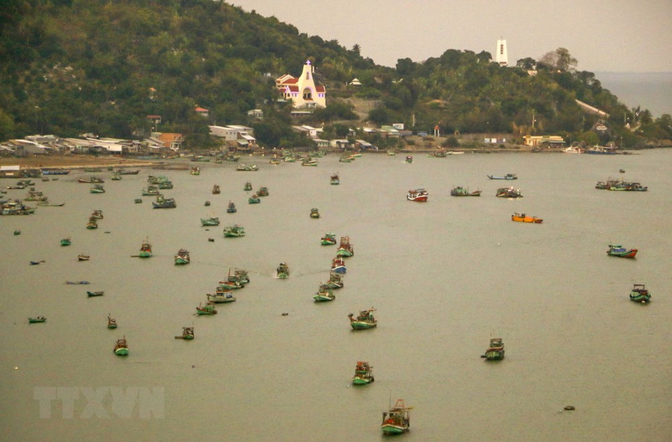 坚海岛县自然面积2500公顷，人口总数2.1万人，其中京族占97%，剩下是高棉族、华族。越通社记者 唯姜 摄