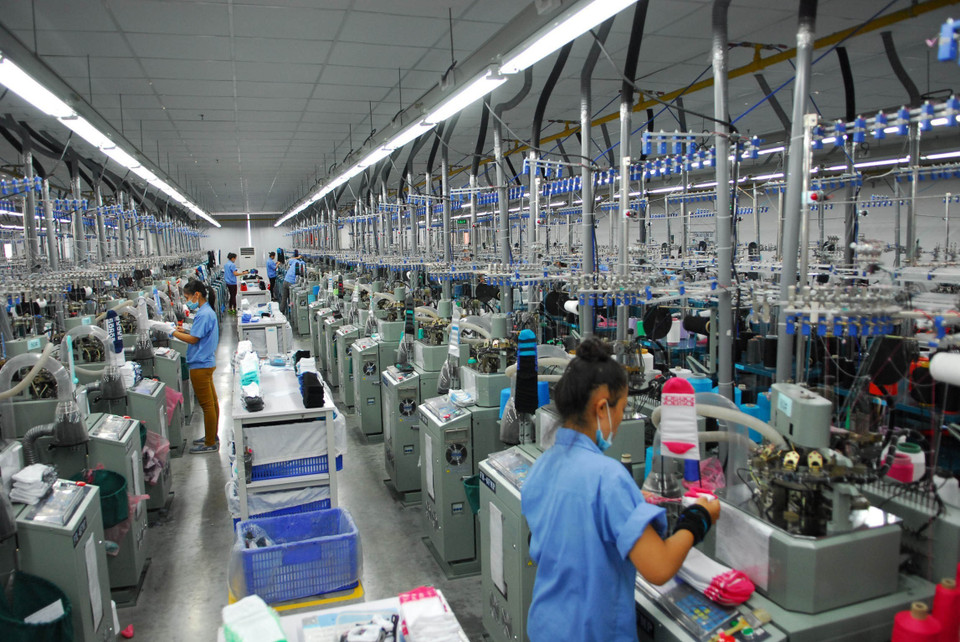 设在海防市越新工业区（VSIP）由中国香港投资的高档袜制造公司佳三袜子生产厂。越通社记者 名岚 摄