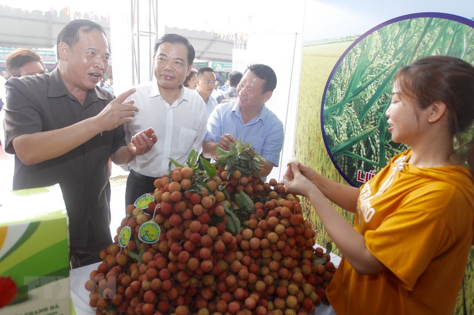 青平乡的展位。越通社记者 林庆 摄