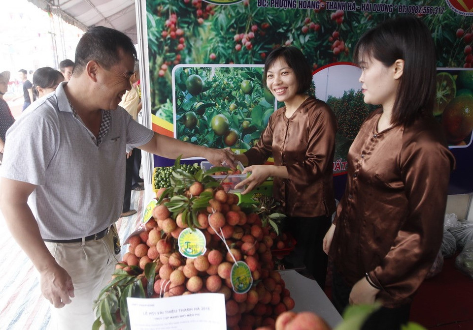 游客们参观凤凰乡展位。越通社记者 林庆 摄