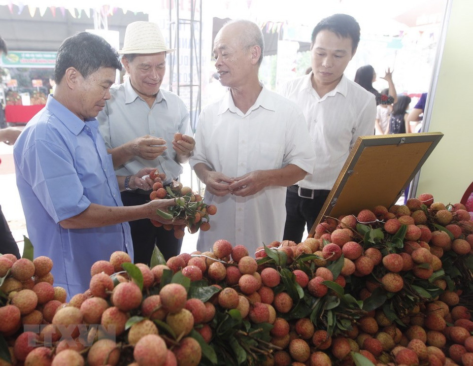 青平乡的展位。越通社记者 林庆 摄