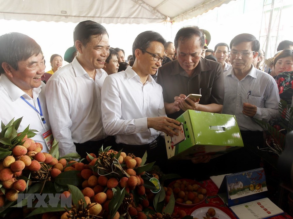 政府副总理武德儋和代表们凭借手机扫码查询青河县荔枝产品信息。越通社记者 林庆 摄