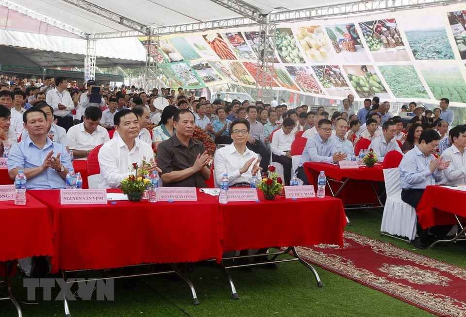 政府副总理武德儋和代表们出席荔枝节。越通社记者 林庆 摄