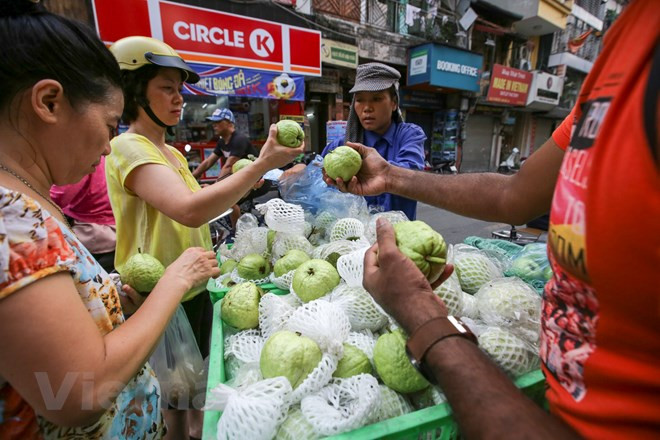 河内市一些街道上的糯米酒、荔枝、李子等小摊。越通社记者 明山 摄