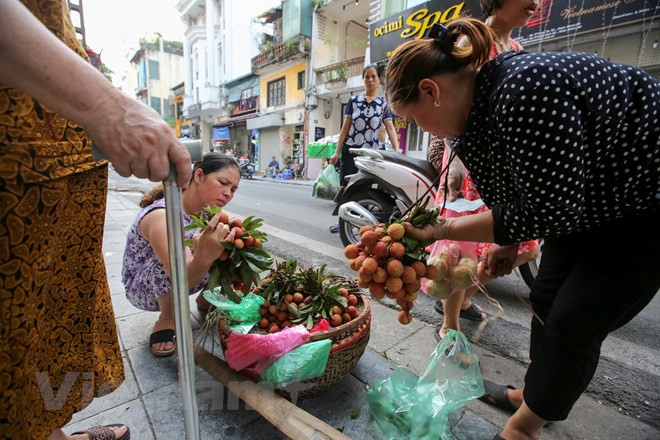 河内市一些街道上的糯米酒、荔枝、李子等小摊。越通社记者 明山 摄