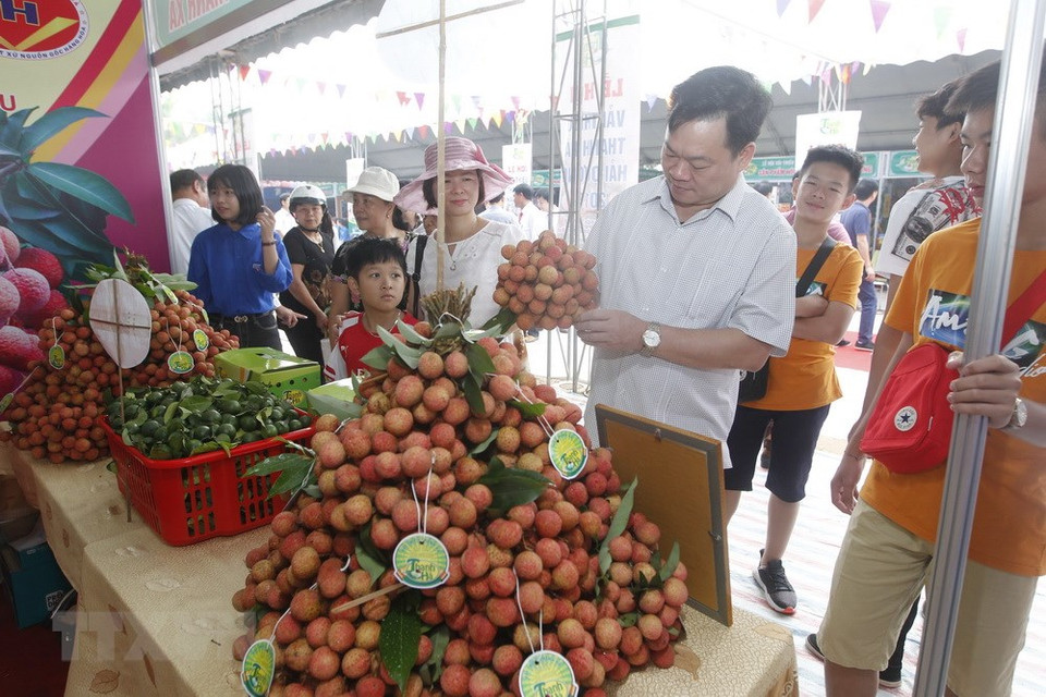 游客们参观青舍乡展位。越通社记者 林庆 摄