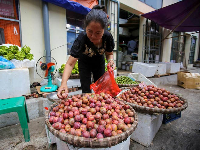河内市一些街道上的糯米酒、荔枝、李子等小摊。越通社记者 明山 摄