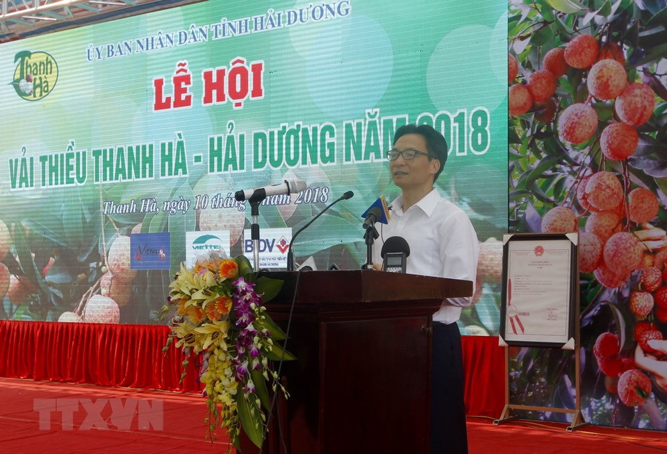 政府副总理武德儋在节日上发表讲话。越通社记者 林庆 摄