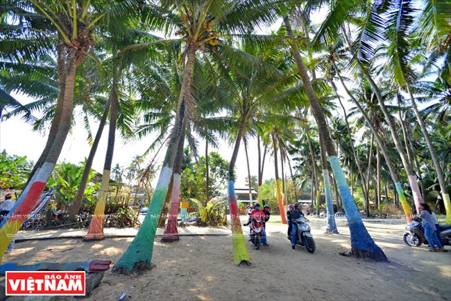 三海椰林吸引游客的眼球。越通社记者 清和 摄