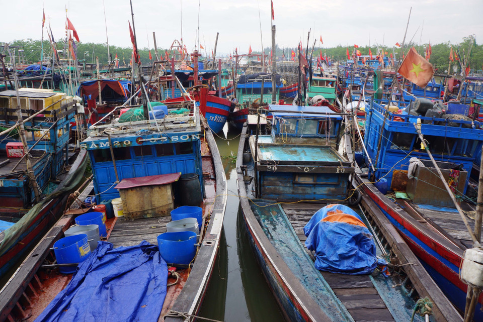 清化省渔船躲避台风。（图片来源：越通社）