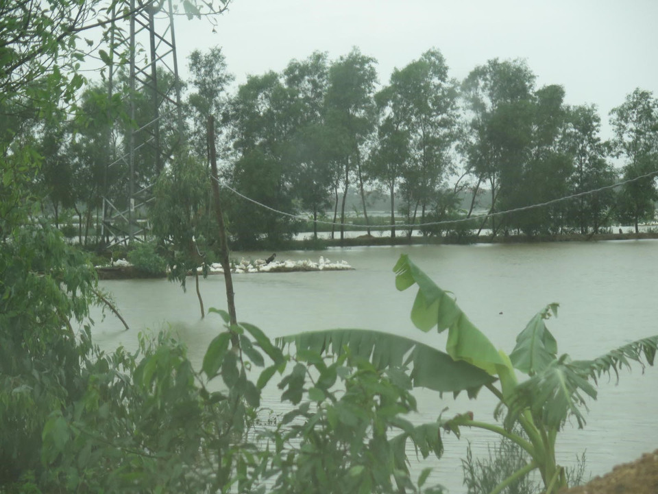 义安省遭受暴雨和台风袭击。越通社记者 成达 摄