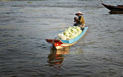 匆忙着将货物送到集市。（图片来源：越南《人民军队报》）