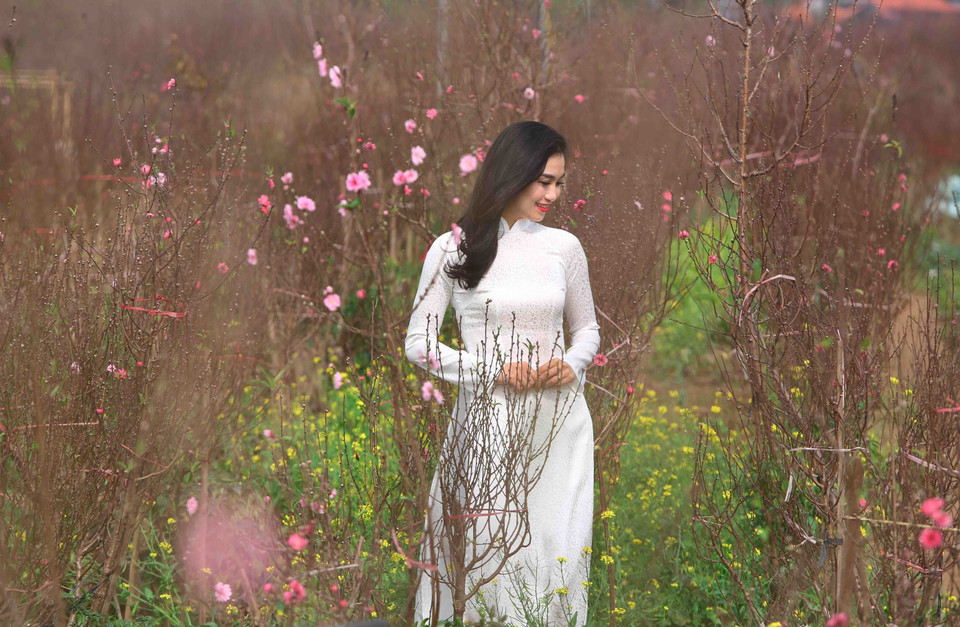 众多首都河内居民前来欣赏桃花。越通社记者 成达 摄