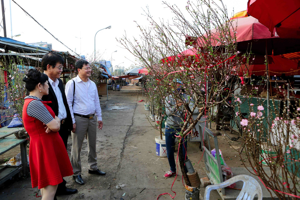 桃花提前盛开，吸引了众多首都河内居民前来欣赏和购买。越通社记者 成达 摄