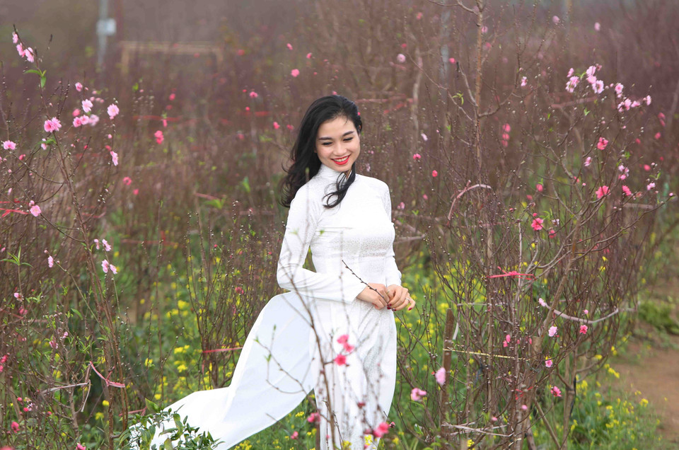 众多首都河内居民前来欣赏桃花。越通社记者 成达 摄