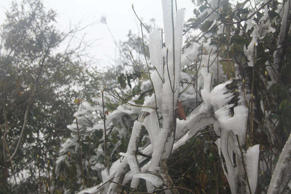 冰雪天气袭击安沛木江界县。越通社记者 明德 摄