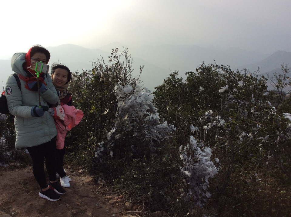 冰雪天气袭击越南北部山区。越通社记者黄南 摄