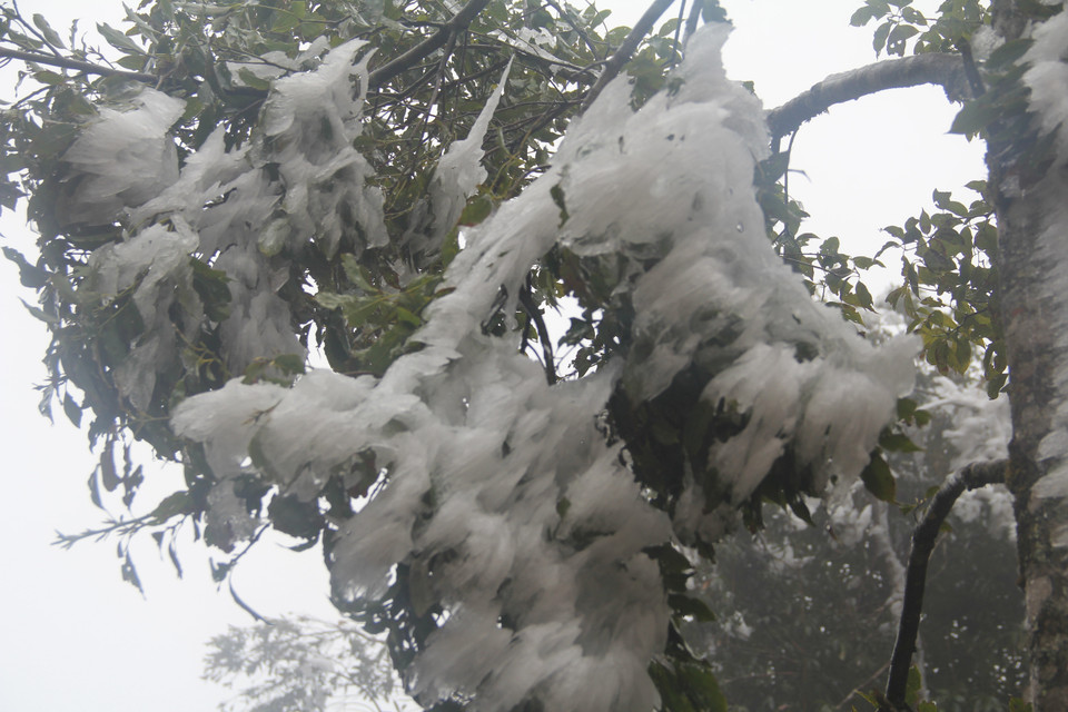 冰雪天气袭击安沛木江界县。越通社记者 明德 摄